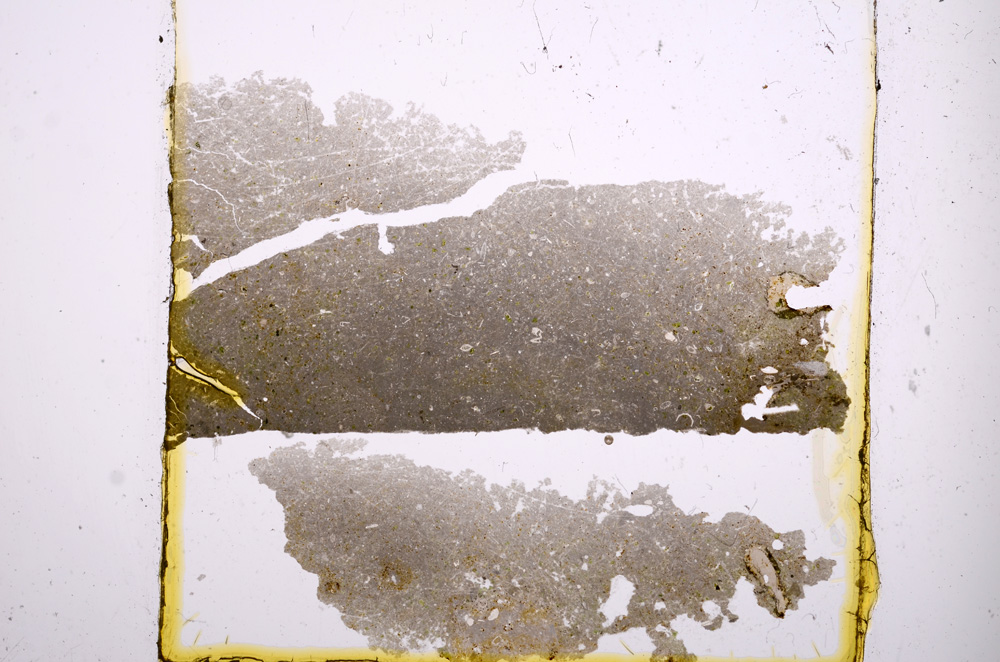 Plane Polarized, E1166