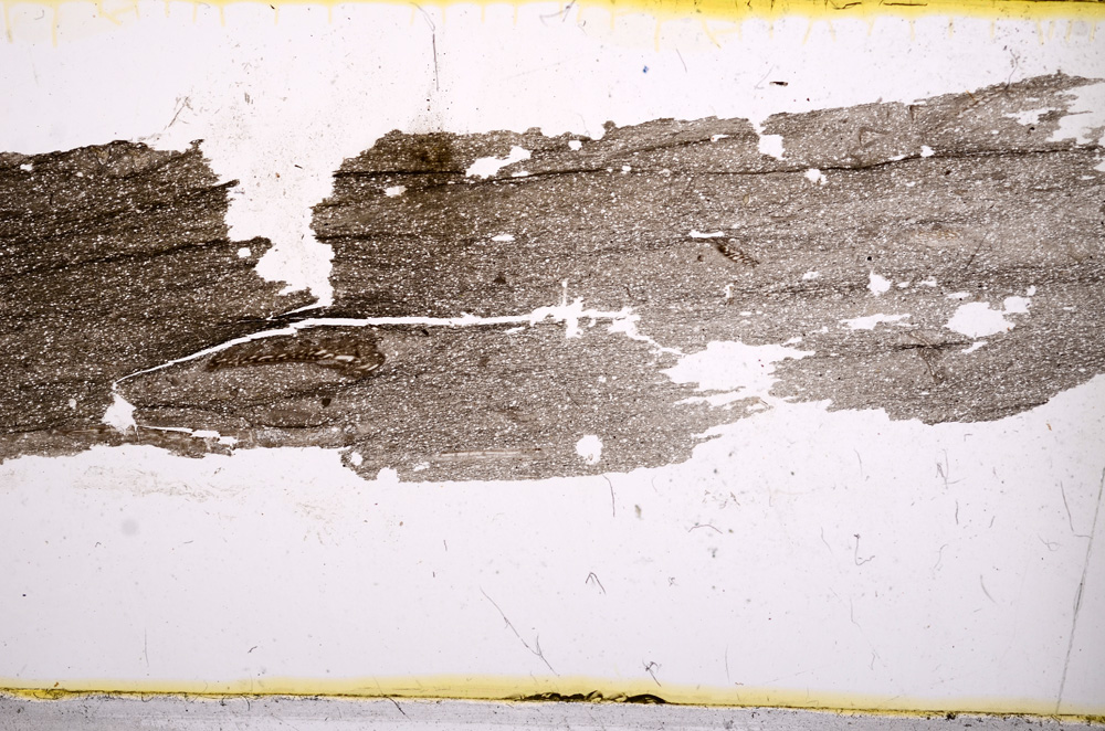 Plane Polarized, E1167