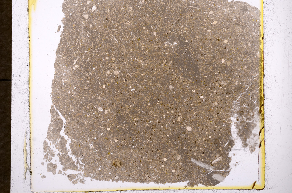 Plane Polarized, E1189/A