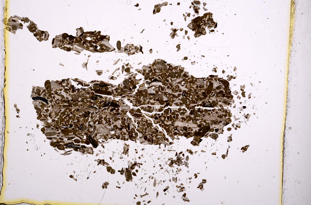 Plane Polarized, E1193