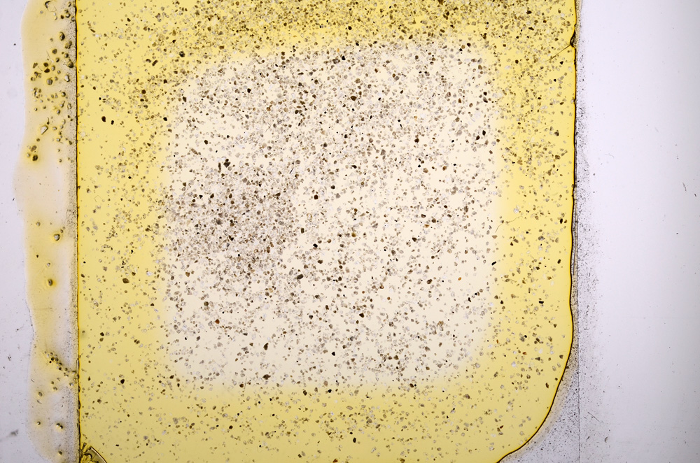 Plane Polarized, E1197/A