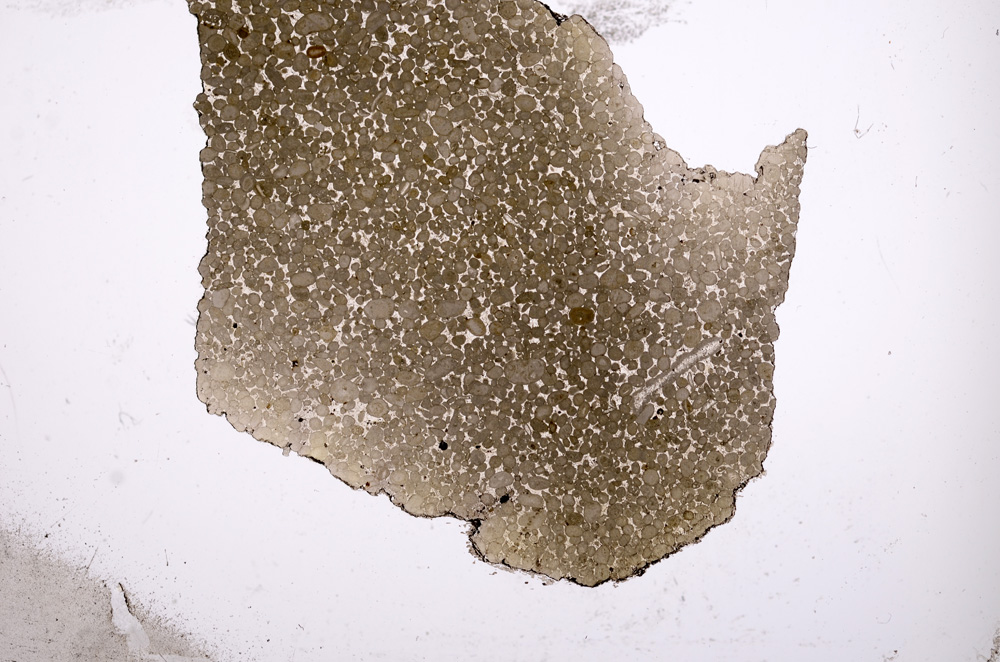 Plane Polarized, E1200