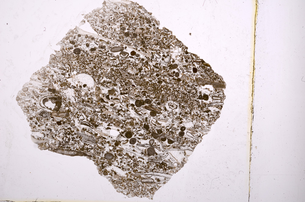 Plane Polarized, E1206