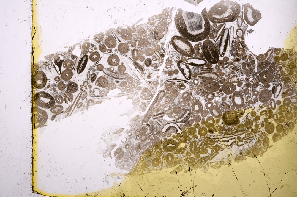 Plane Polarized, E1222