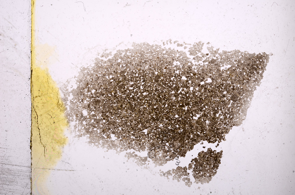 Plane Polarized, E1229