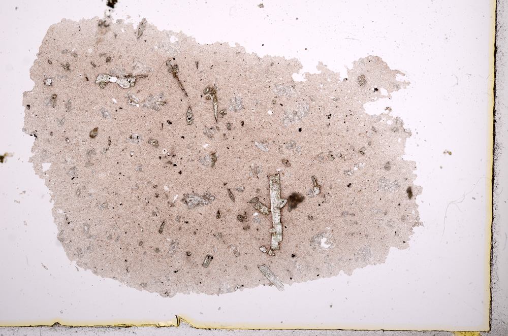 Plane Polarized, E2431