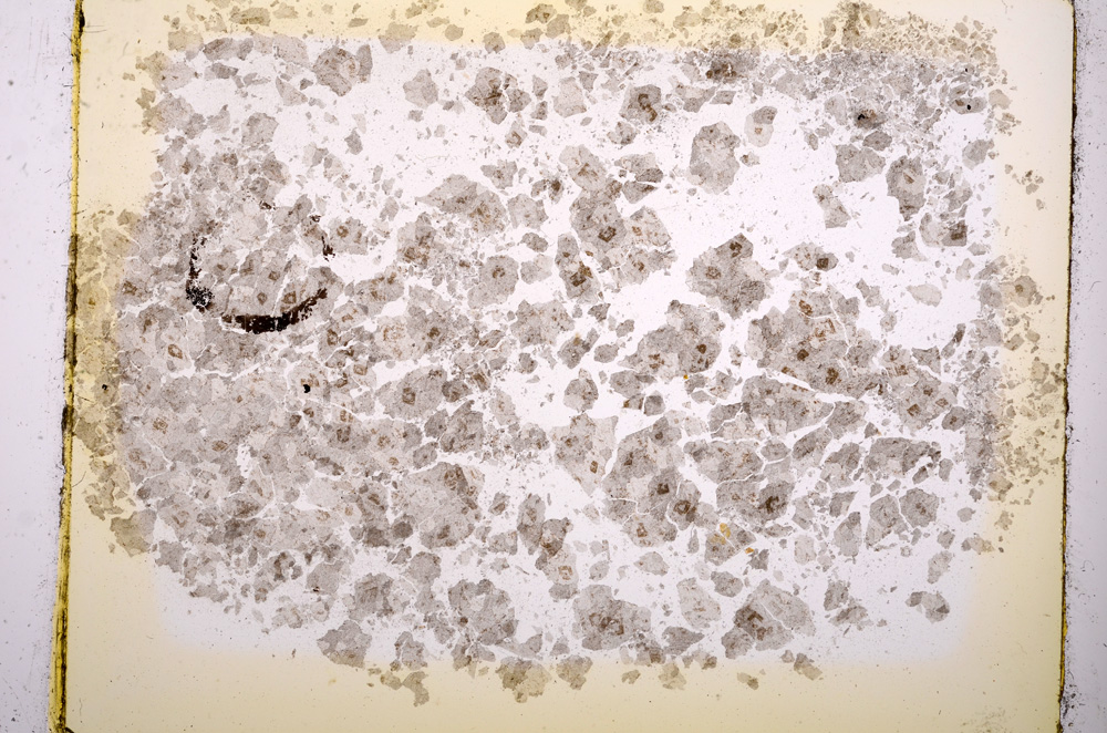 Plane Polarized, E2438A