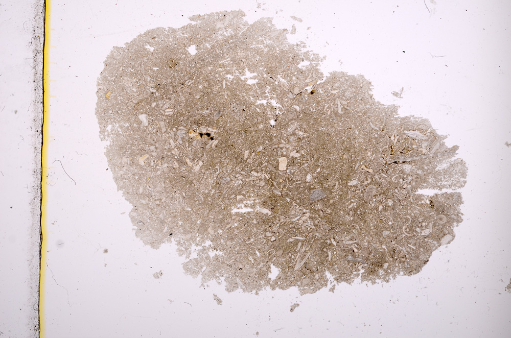 Plane Polarized, E2452