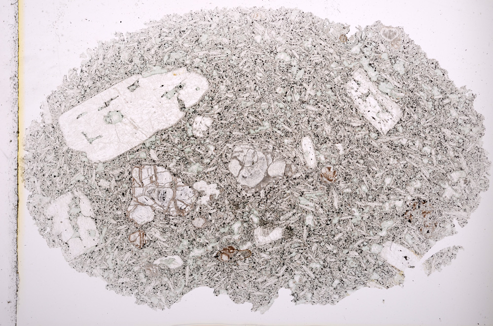 Plane Polarized, E2498