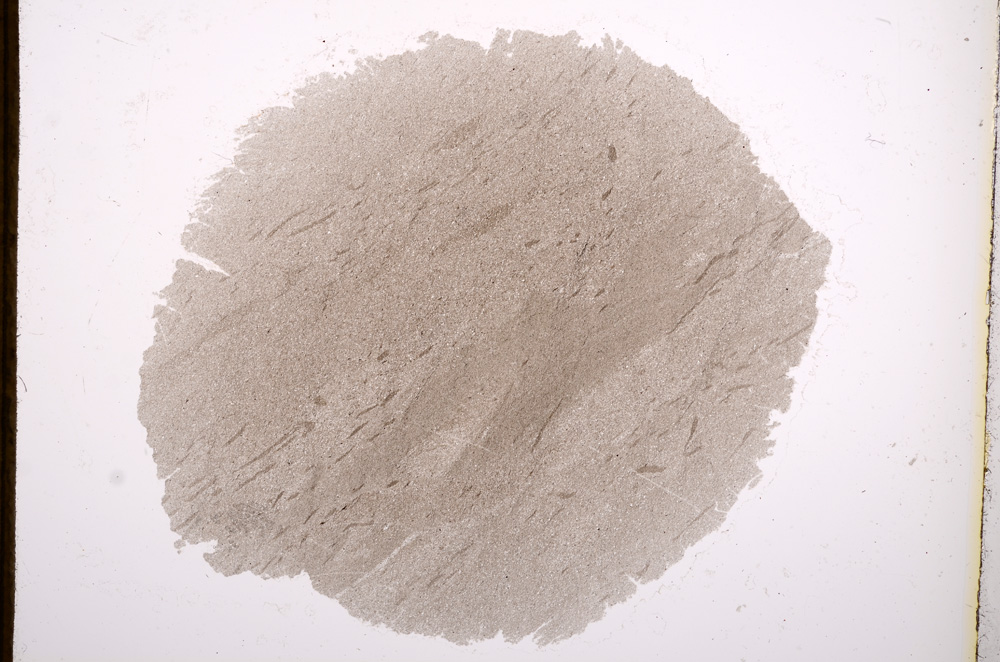 Plane Polarized, E2544