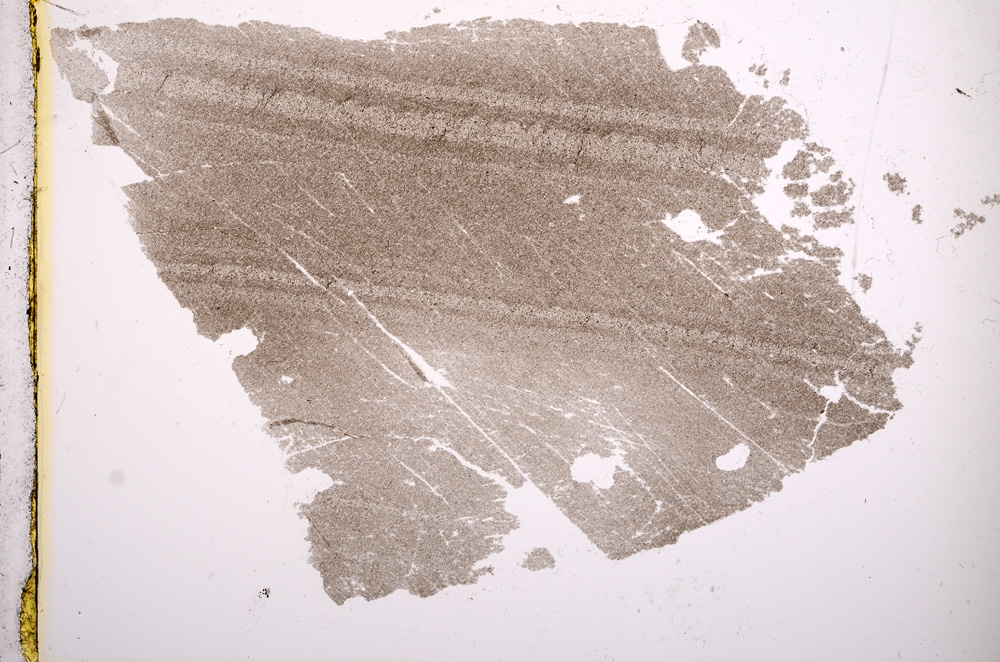 Plane Polarized, E2546