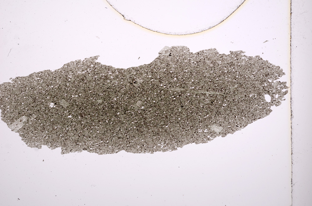 Plane Polarized, E2651