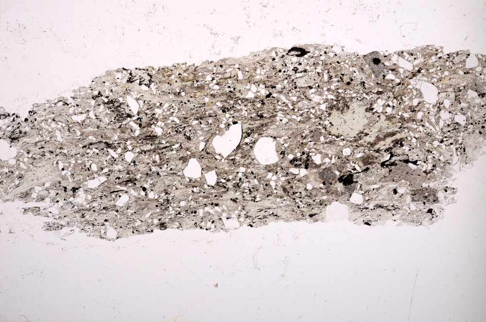 Plane Polarized, E2655