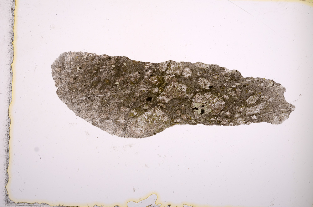 Plane Polarized, E2659