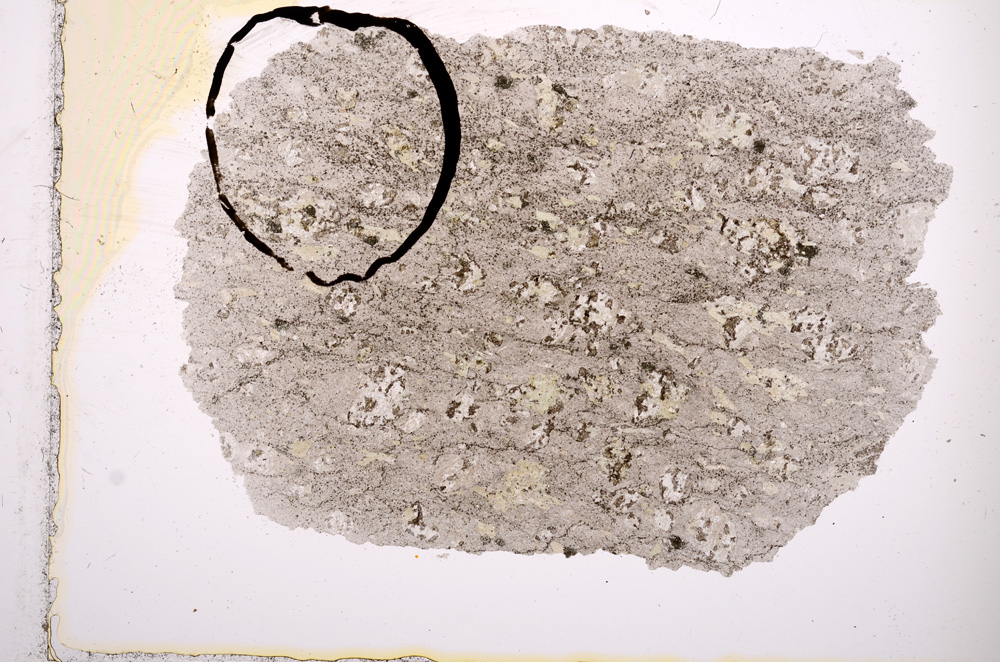 Plane Polarized, E2661