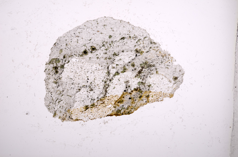 Plane Polarized, E2667