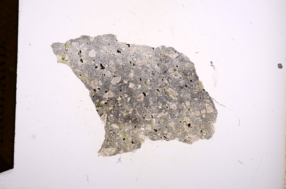 Plane Polarized, E2694