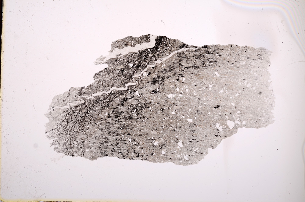 Plane Polarized, E2715