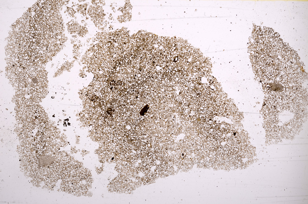 Plane Polarized, E2747