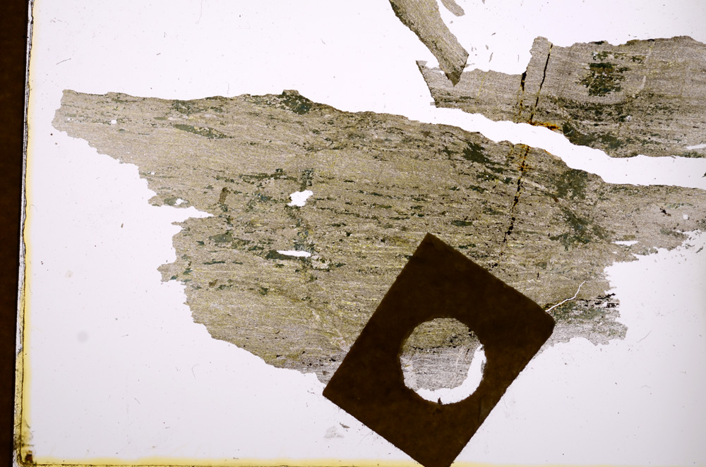 Plane Polarized, E2763