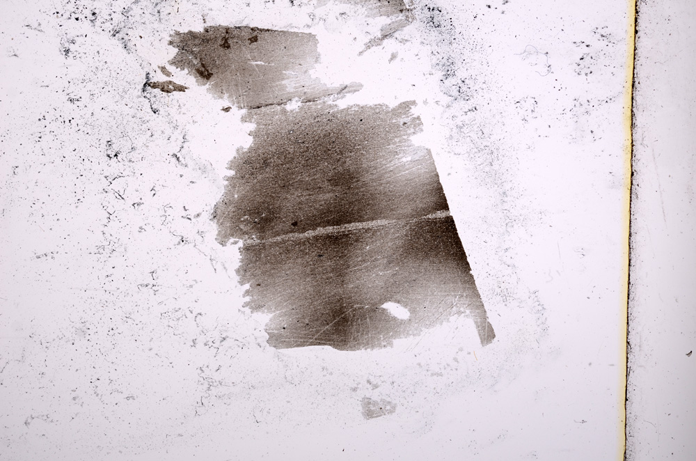 Plane Polarized, E2769