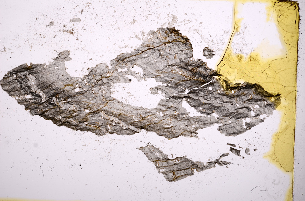 Plane Polarized, E2805