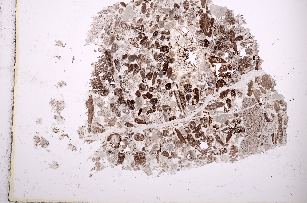 Plane Polarized, E2863