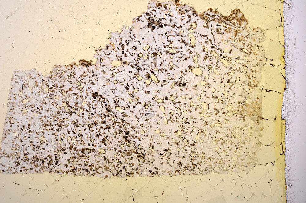 Plane Polarized, E2933