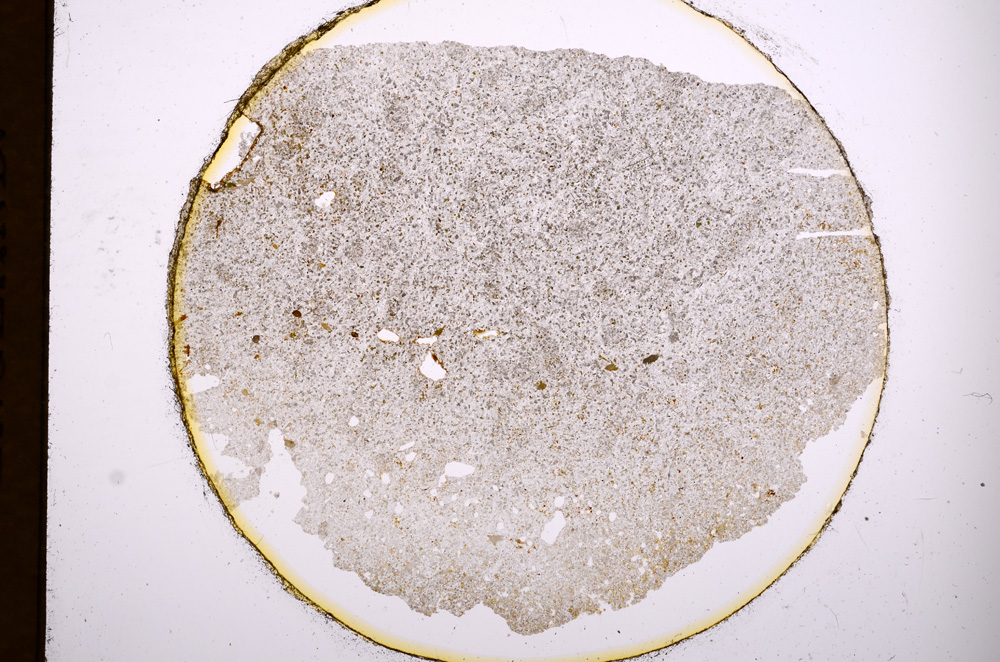 Plane Polarized, E3014