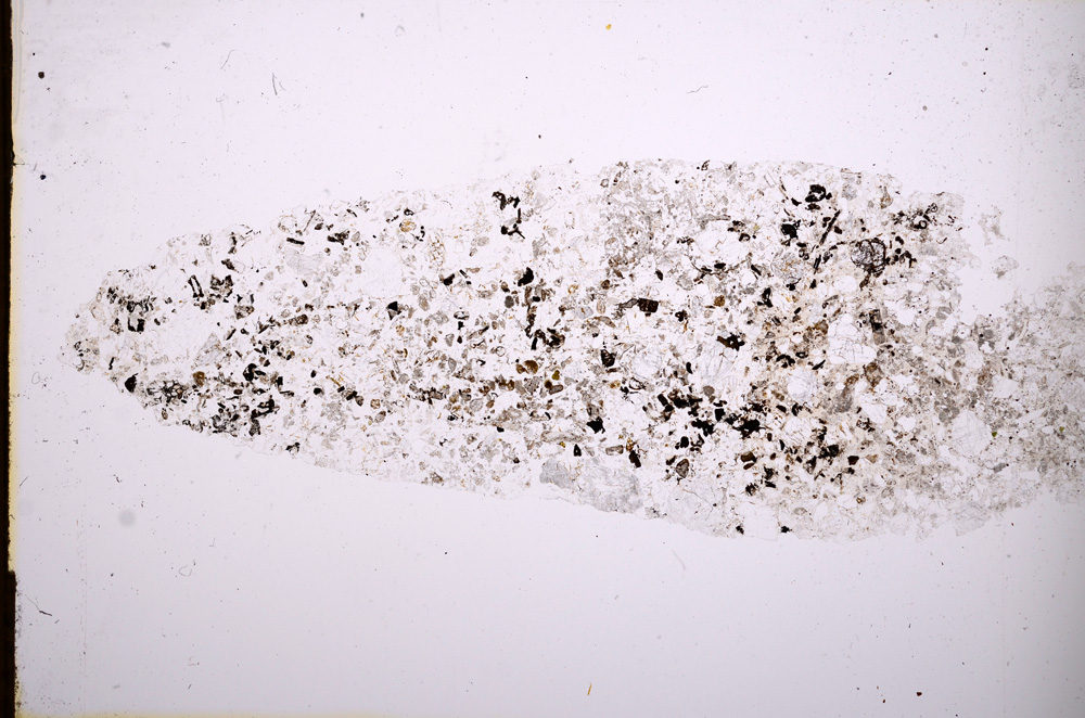 Plane Polarized, E3017