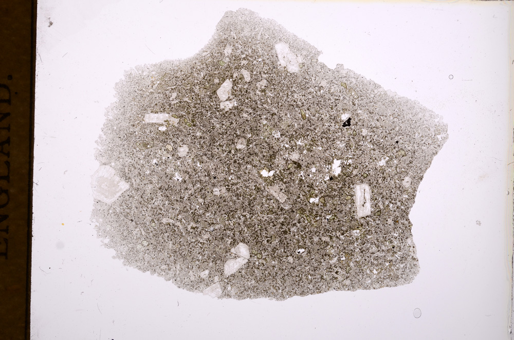 Plane Polarized, E3024