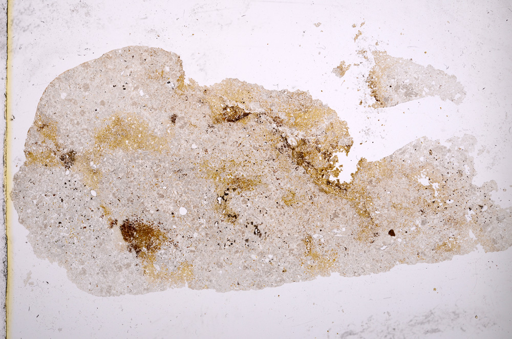 Plane Polarized, E3035