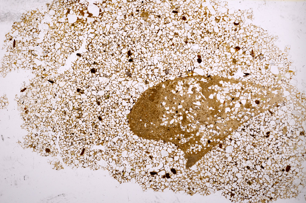 Plane Polarized, E3043