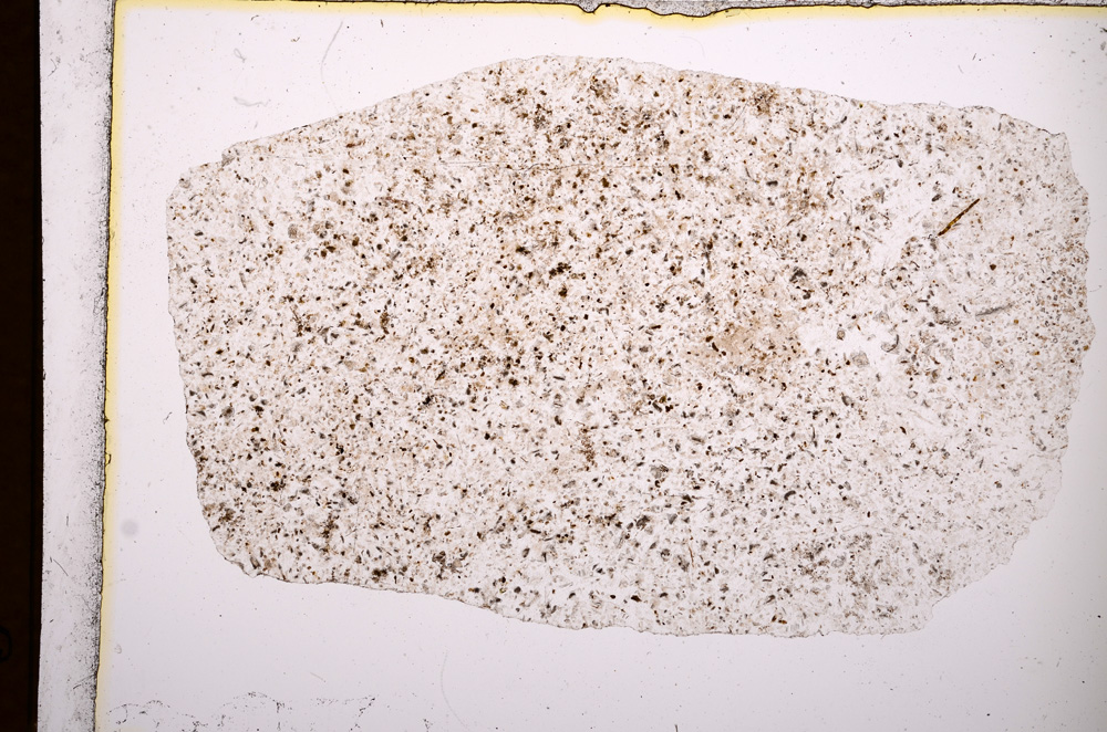 Plane Polarized, E3061