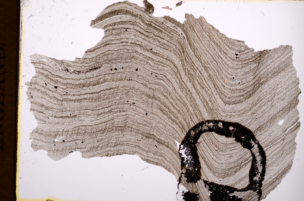 Plane Polarized, E3094