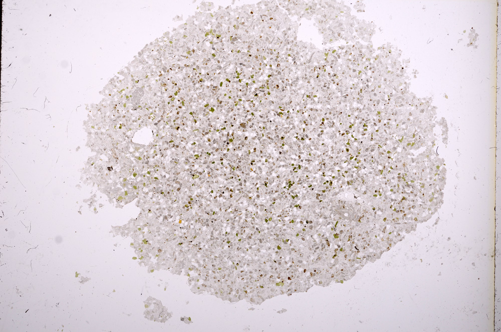 Plane Polarized, E3108