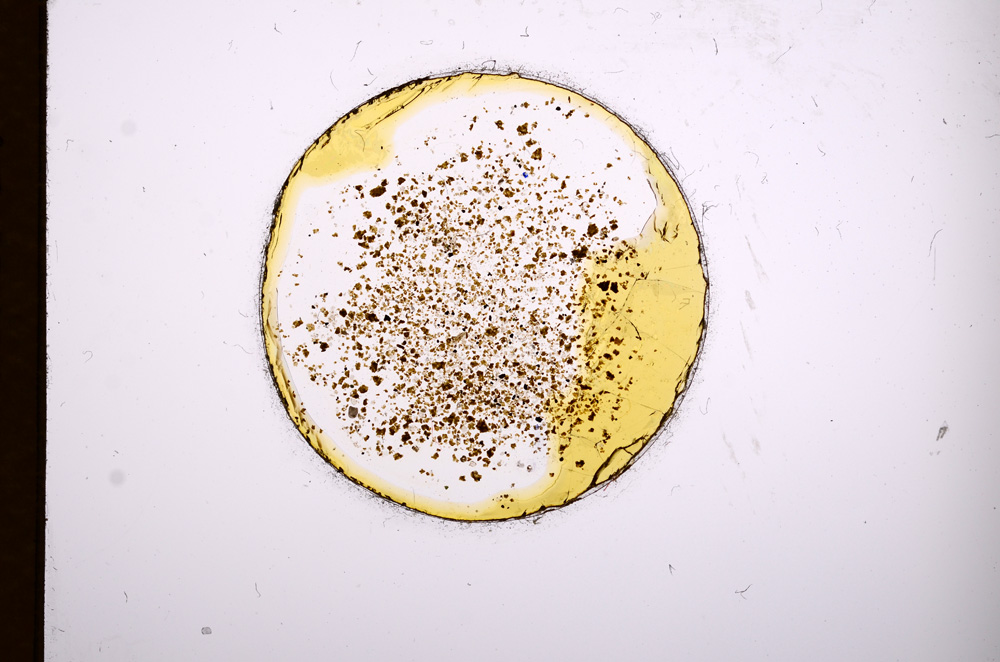 Plane Polarized, E3140