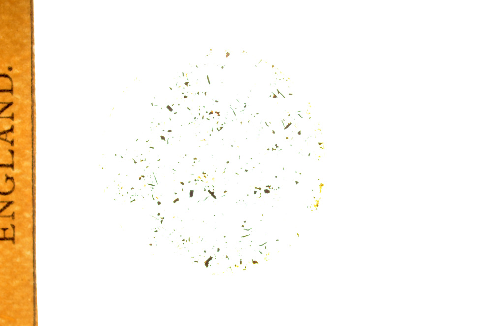 Plane Polarized, E3142