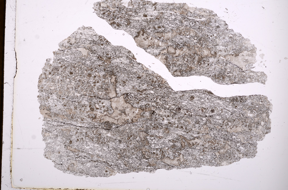 Plane Polarized, E3153