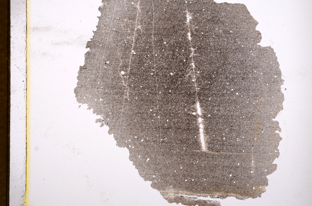 Plane Polarized, E3157