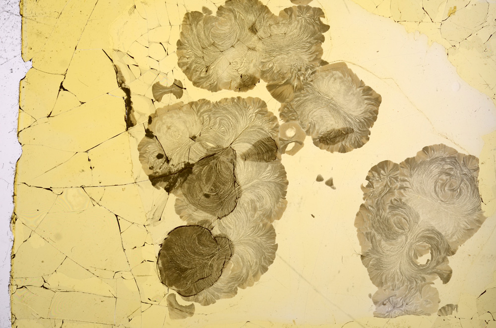 Plane Polarized, E3158