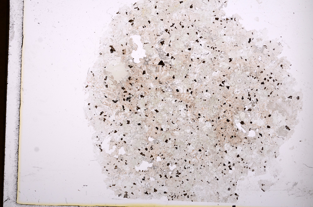 Plane Polarized, E3164