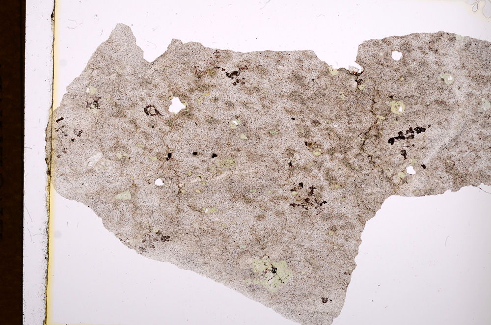 Plane Polarized, E3197