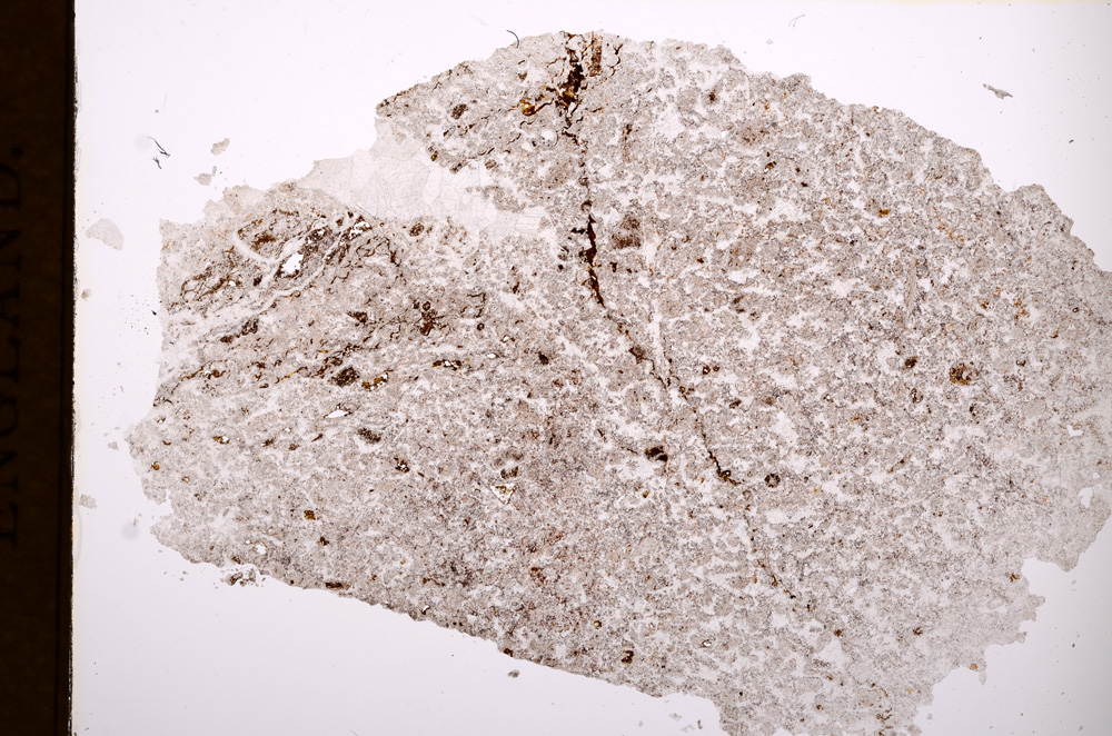 Plane Polarized, E3199