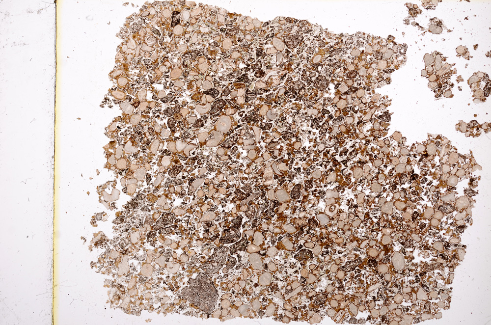 Plane Polarized, E3202