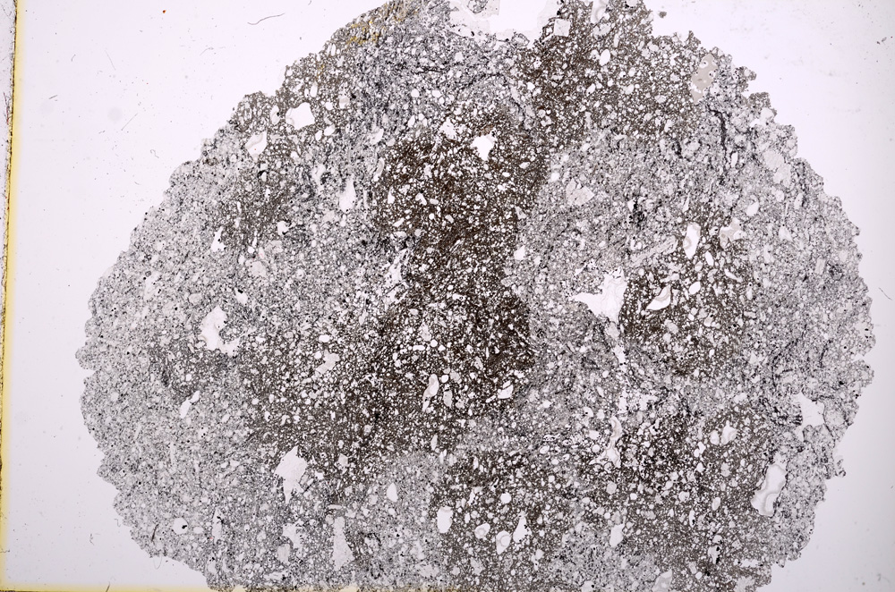 Plane Polarized, E3247