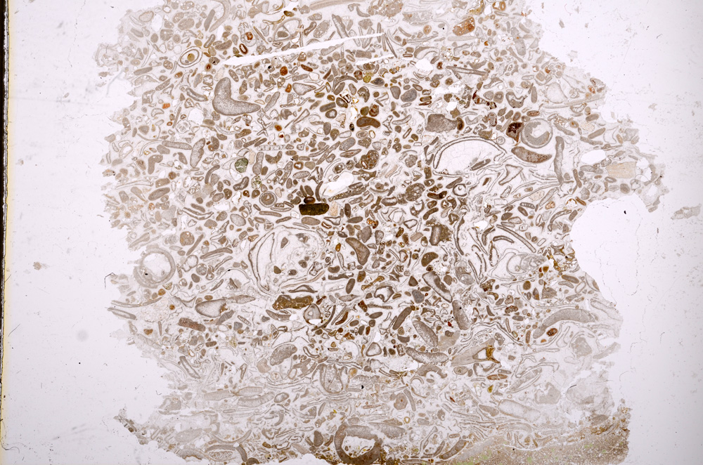 Plane Polarized, E3265