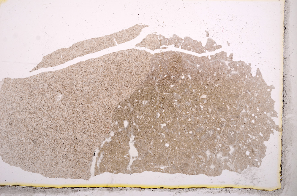 Plane Polarized, E3286