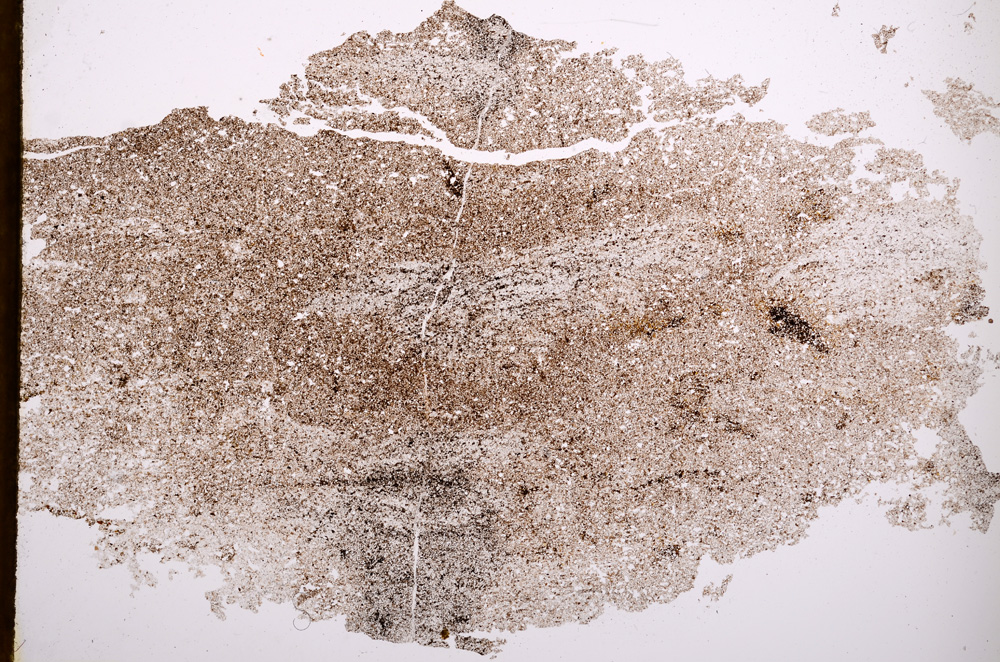 Plane Polarized, E3308