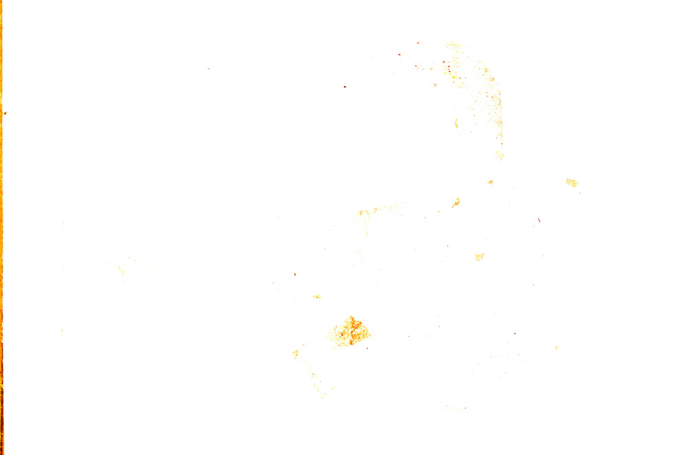 Plane Polarized, E3309